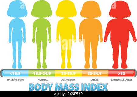 Grafico BMI colorato con sagome umane Illustrazione Vettoriale