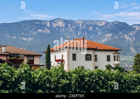 Pinot Noir Trail - il percorso del vino e della cultura si trova nella famosa zona di Pinot Noir, ai margini del Parco naturale del Monte Corno Foto Stock