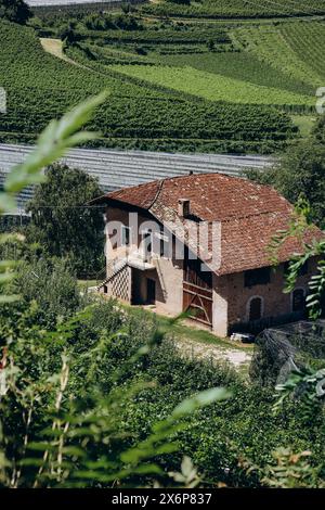 Pinot Noir Trail - il percorso del vino e della cultura si trova nella famosa zona di Pinot Noir, ai margini del Parco naturale del Monte Corno Foto Stock