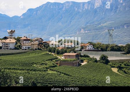 Pinot Noir Trail - il percorso del vino e della cultura si trova nella famosa zona di Pinot Noir, ai margini del Parco naturale del Monte Corno Foto Stock