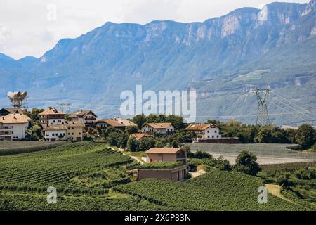 Pinot Noir Trail - il percorso del vino e della cultura si trova nella famosa zona di Pinot Noir, ai margini del Parco naturale del Monte Corno Foto Stock