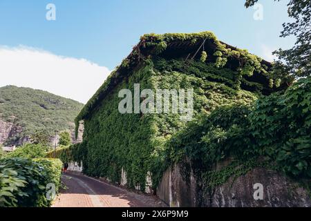 Pinot Noir Trail - il percorso del vino e della cultura si trova nella famosa zona di Pinot Noir, ai margini del Parco naturale del Monte Corno Foto Stock