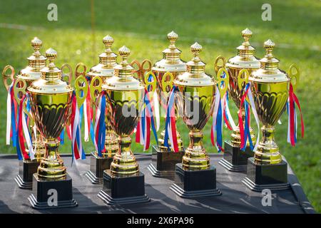 Gruppo di coppe per trofei sul tavolo. Campo sportivo. Foto Stock