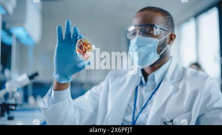 Scienziato maschio afroamericano che indossa maschera e occhiali per il viso che guarda il piatto di Petri con i campioni geneticamente modificati. Microbiologo che lavora in laboratorio moderno con apparecchiature tecnologiche Foto Stock