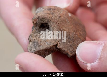 Nauendorf, Germania. 16 maggio 2024. In un campo vicino a Nauendorf vicino ad Halle, Melanie Weber-Walpuski, un'archeologa dell'Ufficio di Stato Sassonia-Anhalt per la conservazione dei monumenti e dell'archeologia, mostra un frammento di una nave che è stata trovata qui come beni funerari. L'uomo e' stato trovato in una posizione accovacciata e sdraiato sul lato destro. Il corpo fu sepolto in una pianta trapezoidale di un precedente edificio mortuario. Gli archeologi hanno trovato due di queste capanne mortuarie risalenti a 6000 anni fa qui. I tumuli funerari appartengono alla cultura di Baalberg. Crediti: Hendrik Schmidt/dpa/Alamy Live News Foto Stock