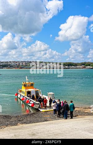 La vista sull'estuario del fiume Camel da Rock con il traghetto passeggeri che arriva da Padstow in un giorno di primavera soleggiato, nella Cornovaglia settentrionale, Inghilterra, Regno Unito Foto Stock