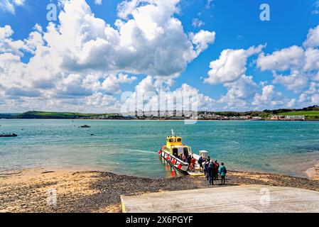 La vista sull'estuario del fiume Camel da Rock con il traghetto passeggeri che arriva da Padstow in un giorno di primavera soleggiato, nella Cornovaglia settentrionale Inghilterra Regno Unito Foto Stock