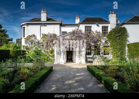 Pembroke Lodge nel Richmond Park durante la primavera con Wisteria che copre la strada d'ingresso. Foto Stock