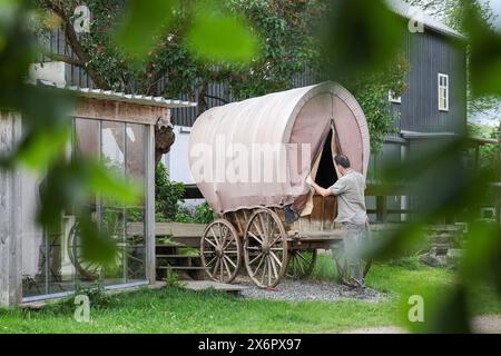 Adorf, Germania. 16 maggio 2024. L'agricoltore biologico Bert Bochmann prepara un vecchio carro trainato da cavalli con fieno per i pellegrini a dormire. La fattoria si trova su un sentiero medievale che collega il monastero di Chemnitz, che ora fa parte della via sassone di San Giacomo. L'offerta per gli escursionisti in cerca di illuminazione deve essere ampliata. Tra un anno, le abitazioni portatili per i pellegrini potrebbero trovarsi nei prati di Erzgebirge tra mucche e cavalli. Crediti: Jan Woitas/dpa/Alamy Live News Foto Stock