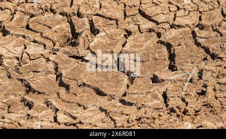 Terra incrinata, terreno fangoso essiccato, superficie siccità. Foto Stock