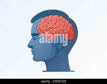 Cervello umano di profilo, scienza dell'idea, uomo organo. Vettore Illustrazione Vettoriale