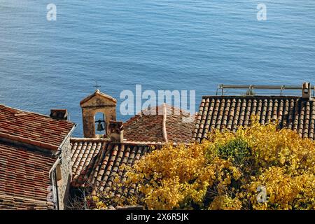 Il Jardin Botanique d'Eze, un giardino botanico in cima alla montagna situato a Eze, sulla Costa Azzurra Foto Stock