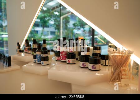 SINGAPORE - 06 NOVEMBRE 2023: Prodotti razionali in mostra all'interno del Tang Plaza di Singapore. Foto Stock