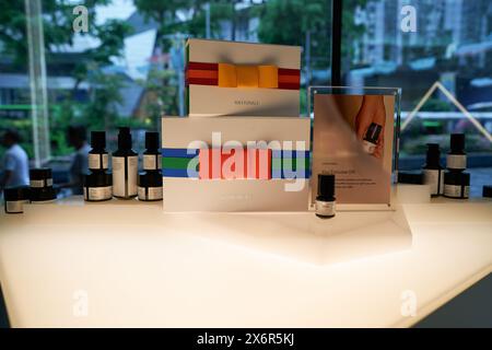 SINGAPORE - 06 NOVEMBRE 2023: Prodotti razionali in mostra all'interno del Tang Plaza di Singapore. Foto Stock