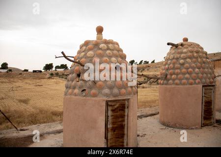 Alveari rustici fatti di fango, nei giorni moderni è sostenuto con cemento per gli uccelli a vivere con campi di grano sullo sfondo e case per la cupola Foto Stock