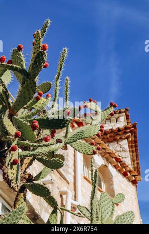 Il villaggio di Eze, costruito sulla cima di una collina, il più bel borgo medievale della Costa Azzurra Foto Stock