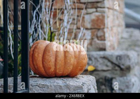 Bellissima zucca grande all'aperto con sfondo sfocato Foto Stock