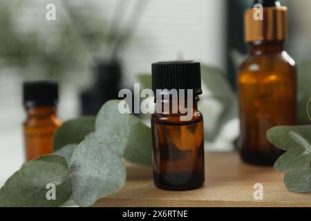 Aromaterapia. Bottiglie di olio essenziale e foglie di eucalipto in tavola Foto Stock