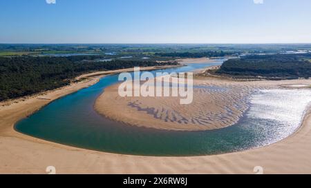 Spiaggia di le Veillon ed estuario di Payre, Talmont-Saint-Hilaire, Vendee (85), regione Pays de la Loire, Francia Foto Stock