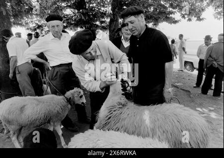 Spain Sheep Market Asturias 1987 Scan Made 2024 Foto Stock