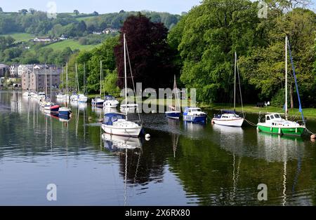 Barche ormeggiate sul fiume Dart accanto a Vire Island a Totnes, nel Devon meridionale. Foto Stock