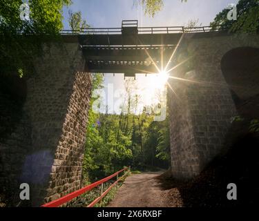 Il famoso viadotto della gola di Cuha per i treni in Ungheria, i monti bakony. Il nome ungherese è Cuha szurdok vasuti Hidd. Foto Stock