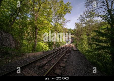 Il famoso viadotto della gola di Cuha per i treni in Ungheria, i monti bakony. Il nome ungherese è Cuha szurdok vasuti Hidd. Foto Stock