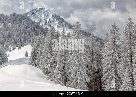 Fockenstein in inverno, Tegernsee, montagne, inverno, freddo, neve Baviera, abeti, Germania Foto Stock