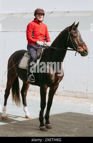 Un allegro pilota amatoriale con una giacca rossa brillante e un casco da equitazione si diverte a cavalcare su un elegante cavallo nero. Foto Stock