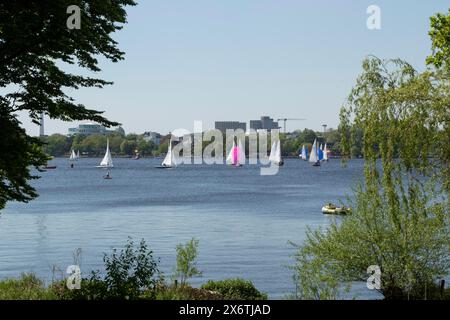 Immagini simboliche del tempo, attività ricreative, primavera estiva, barche a vela e barche a remi contro il cielo blu dell'Alster ad Amburgo, Germania Foto Stock