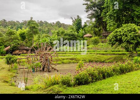 Due balle d'acqua a turbina in legno in risaia presso il villaggio culturale di montagna tailandese a Chiang Khan, Thailandia Foto Stock