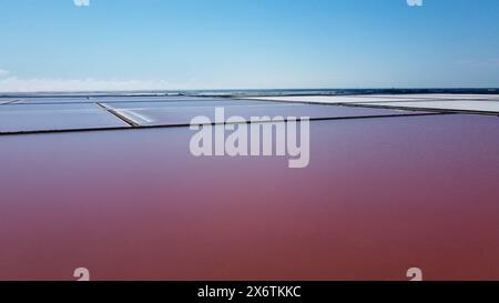 Infinite distese di riserve saline nel salin de Giraud nel parco naturale regionale della Camargue in Provenza alla foce del Rodano. Colori brillanti Foto Stock