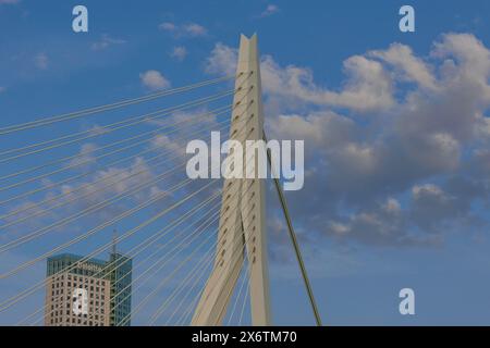 Vista dettagliata di un ponte con cielo blu e nuvole, skyline di una città moderna su un fiume con un ponte moderno, Rotterdam, Paesi Bassi Foto Stock