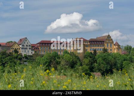 Vista della città vecchia e del castello di Kirchberg an der Jagst, Jagsttal, Jagststeig, escursioni, Schwaebisch Hall, Hohenlohe, Heilbronn-Franken Foto Stock