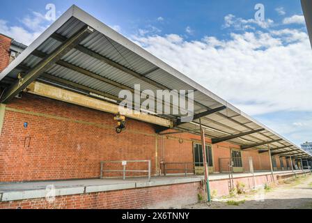 Rieckhallen, Hamburger Bahnhof, Moabit, Mitte, Berlino, Germania Foto Stock