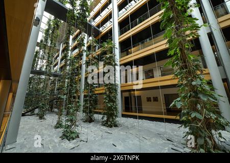 Piante, cortile interno verde, uffici, vista interna, Parlamento europeo, 1 tutto. Du Printemps, Strasburgo, dipartimento Bas-Rhin, Francia Foto Stock