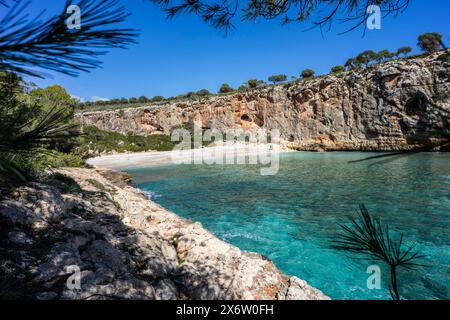 Cala Magraner, costa di Manacor, Maiorca, Isole Baleari, Spagna. Foto Stock