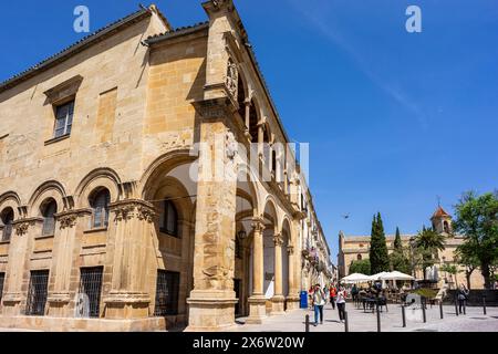 Sale della città vecchia - chiamato anche Palazzo del Consiglio o Municipio Vecchio, Úbeda, provincia di Jaén, Andalusia, Spagna. Foto Stock