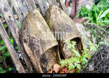 Vecchi zoccoli in legno, Zaanse Schans, comune di Zaanstad, percorso europeo del patrimonio industriale, Paesi Bassi. Foto Stock