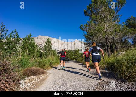 Atleta di montagna di fronte a Puig Major, bacino idrico di Cuber, area naturale della Serra de Tramuntana, Maiorca, Isole Baleari, Spagna. Foto Stock