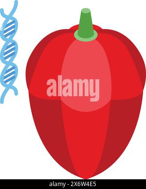Illustrazione di un peperone rosso con elica del dna, che simboleggia la modificazione genetica Illustrazione Vettoriale