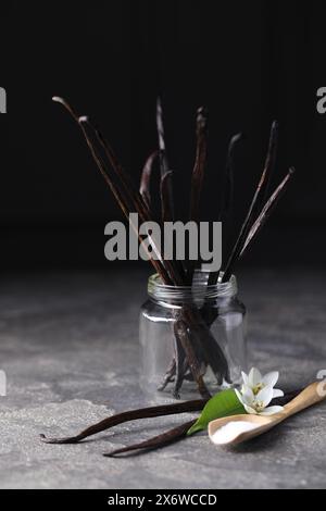 Cucchiaio con zucchero, fiori, foglie e cialde di vaniglia su un tavolo testurizzato grigio Foto Stock