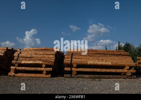 Alberi abbattuti impilati nel negozio della foresta. Foto Stock