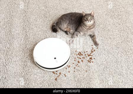 Gatto carino con un moderno aspirapolvere robot e cibo sparso steso su moquette Foto Stock