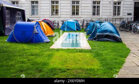 Accampamento studentesco attivista presso il campus principale della UCL Foto Stock