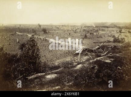 Vista dei campi con tabacco giovane, Langkat Sumatra, fotografia, Heinrich Ernst & Co, (attribuito a), Bindjai Langkat, c. 1900, supporto fotografico, stampa albume, altezza, 224 mm x larghezza, 322 mm Foto Stock