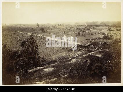 Vista dei campi con tabacco giovane, Langkat Sumatra, fotografia, Heinrich Ernst & Co, (attribuito a), Bindjai Langkat, c. 1900, supporto fotografico, stampa albume, altezza, 224 mm x larghezza, 322 mm Foto Stock