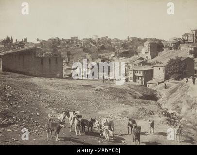 Gruppo di cani vicino a Istanbul, Groupe de chiens (titolo su oggetto), parte di album fotografico di un viaggio attraverso l'Europa meridionale e il Medio Oriente., Fotografia, Sébah & Joaillier, (attribuito a), c. 1900 - in o prima del 1910 aprile, supporto fotografico, stampa albume, altezza, 217 mm x larghezza, 272 mm Foto Stock