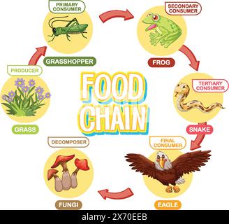 Raffigura un semplice ciclo della catena alimentare Illustrazione Vettoriale