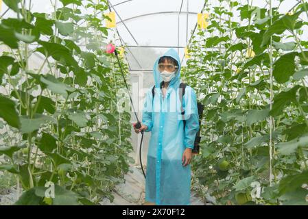 Coltivatore che spruzzano l'insetticida in fattoria di melone per proteggerlo da insettici Foto Stock